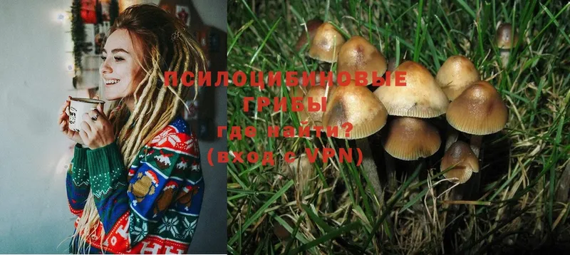 Галлюциногенные грибы MAGIC MUSHROOMS  купить закладку  Краснотурьинск 